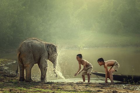 13 Best Nature Documentaries on YouTube