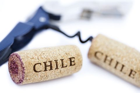 wine, bottle opener, 7 Countries That Make the Best Wine in the World