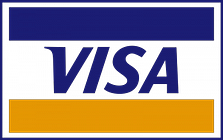 Visa Inc (NYSE:V)