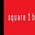 Square 1 Financial Inc (SQBK)'s Fourth Quarter 2014 Earnings Call Transcript