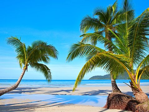 Top 8 Best Beaches in the World