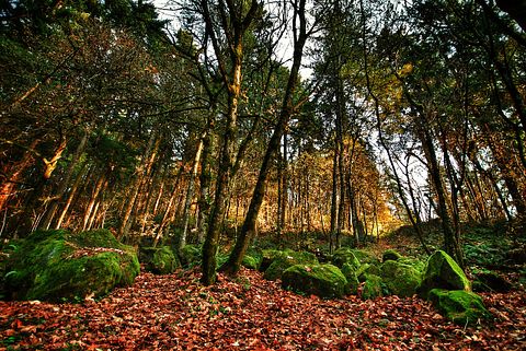 portland-251922_1280