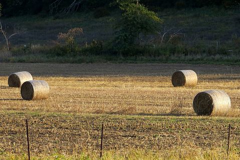 Iowa-hay-bale