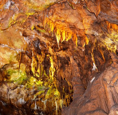 Bojan Milinkov/Shutterstock.com 