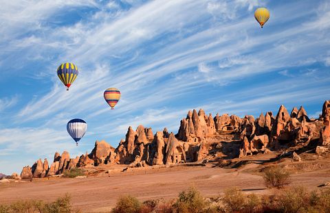 muratart/Shutterstock.com 