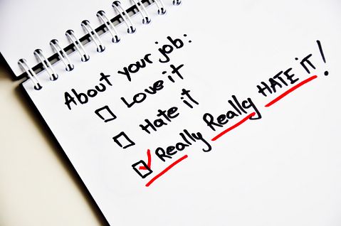 Ai825/shutterstock.com