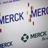 Here's What The OpGen Inc (OPGN) Merck & Co., Inc. (MRK) Agreement Really Means, And Why It's So Important
