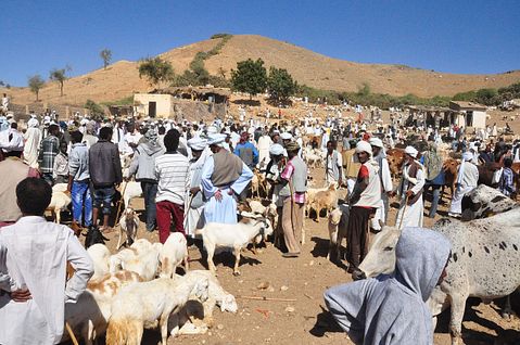 animal-market-688972_1280