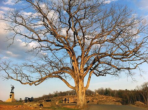 gettysburg-245293_640
