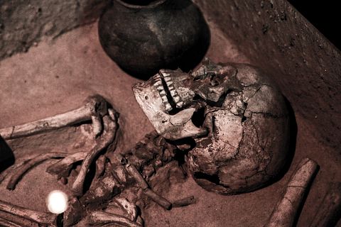 25 Best States For Anthropologists and Archaeologists