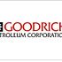 Vollero Beach Capital Reveals A Large Position in Goodrich Petroleum Corporation (GDP)