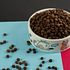 TD Cowen Names Chewy (CHWY) Its Top Smid-Cap Stock Idea for 2026