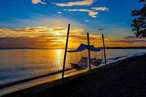 Donsol Whale Shark Capital