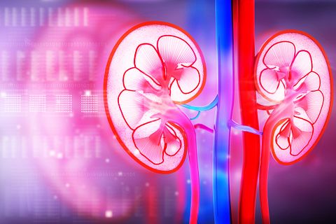8 Best Countries For Kidney Transplant