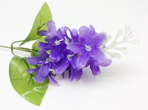 11 Easiest Cash Crops To Grow